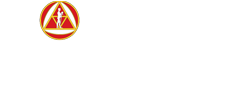 Singidunum University
